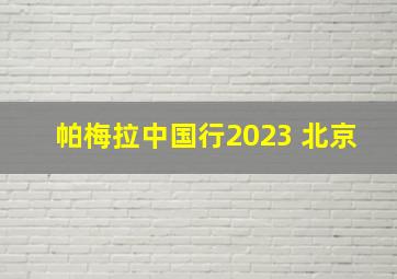 帕梅拉中国行2023 北京